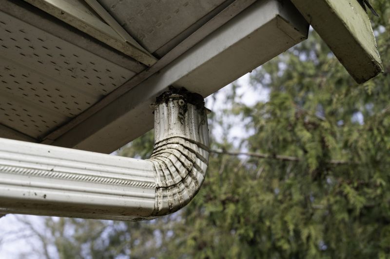 Clogged Downspout Before Service