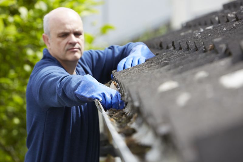 Gutter Cleaning Technician